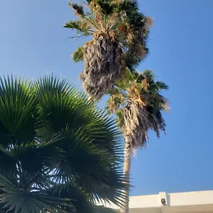 Sea Shell Palms, Bed and breakfast